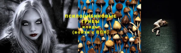 таблы Елабуга