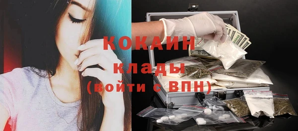apvp Ельня