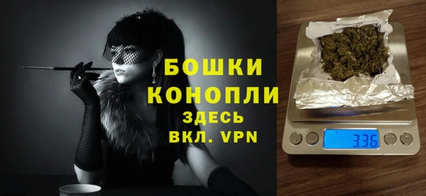 apvp Ельня
