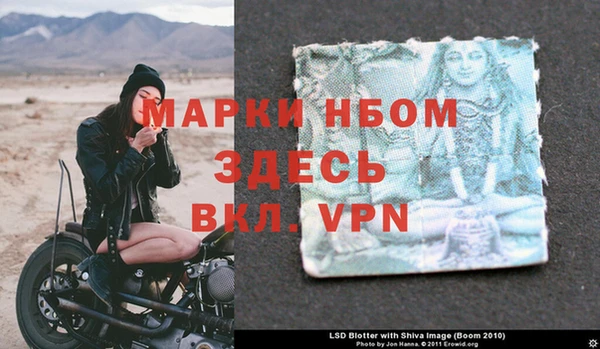 apvp Ельня