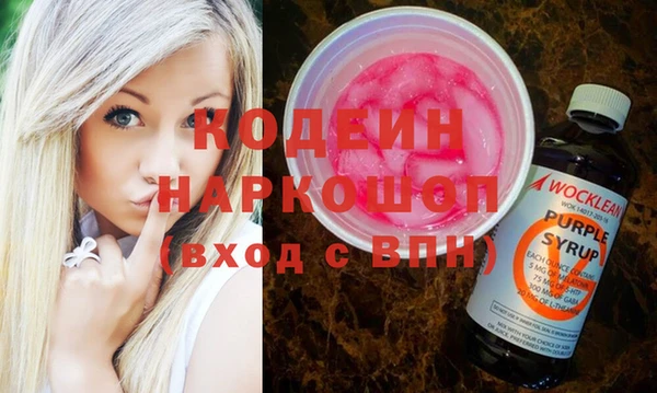 apvp Ельня