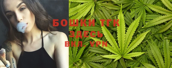 apvp Ельня