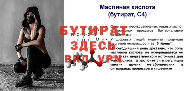 apvp Ельня