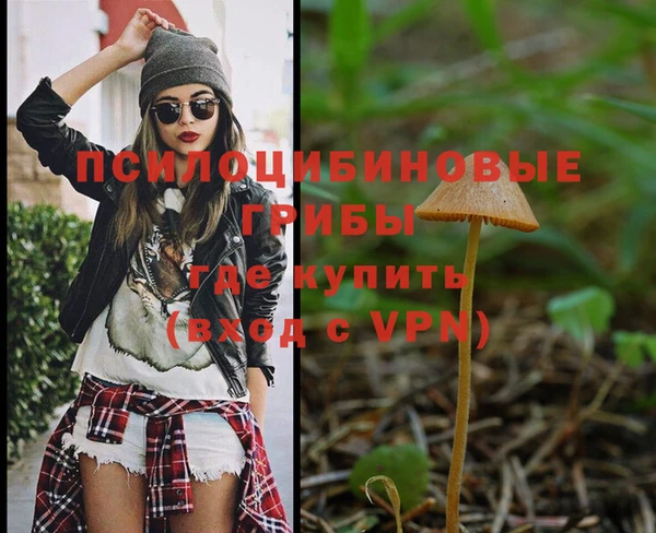 apvp Ельня