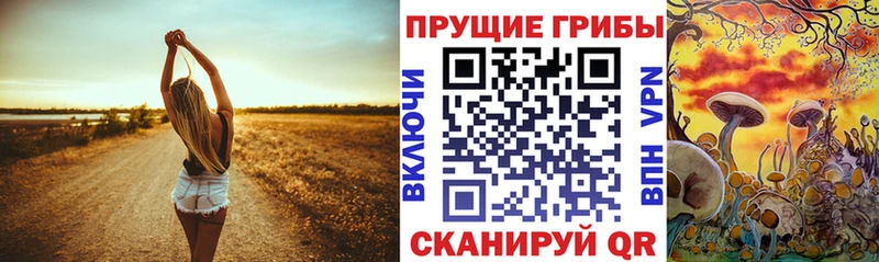 Галлюциногенные грибы Psilocybe Мамадыш